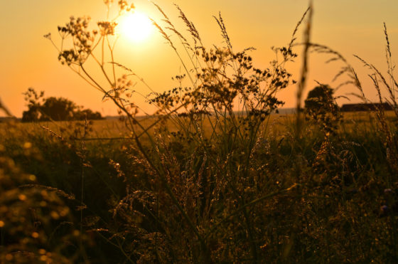Sonnenuntergang