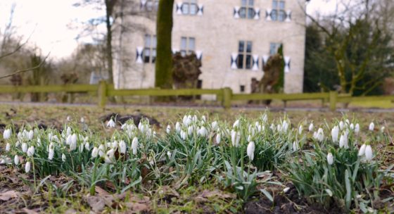 Billerbeck Frühling