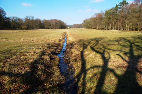 Wildpark