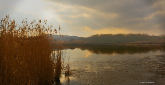 Riesfelfelder