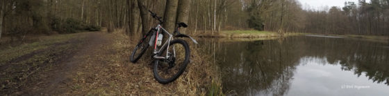 Anglerteich zwischen Dülmen und Lette
