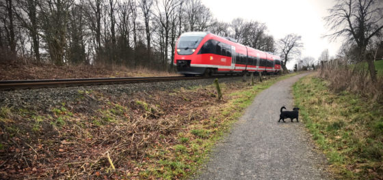 Bahn