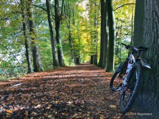 Mountainbike-Herbst