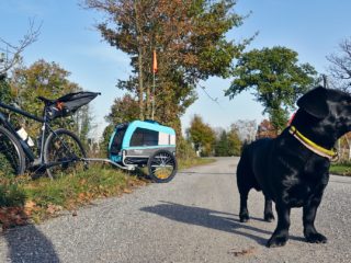 Radtour-Hund